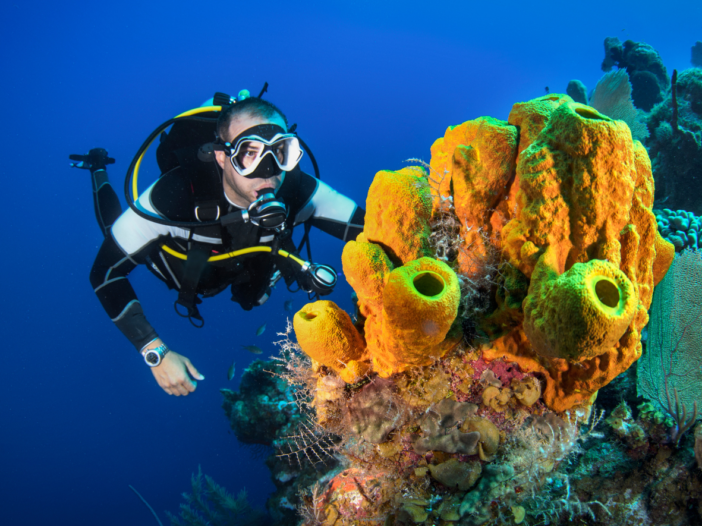 Pakiet Złoty P1 KDP CMAS